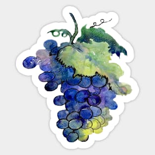 grapes growing for wine Sticker